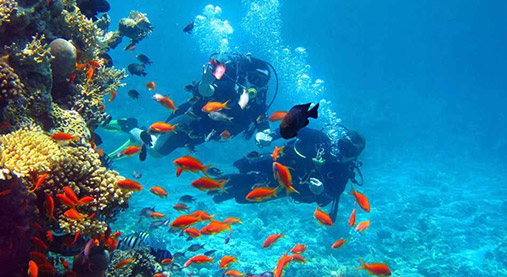 Isla Mujeres Garrafon Natural Reef Park