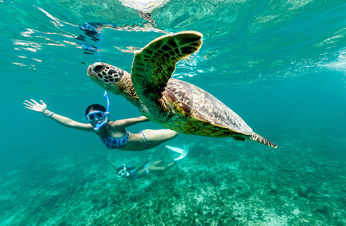 Take a riverboat ride