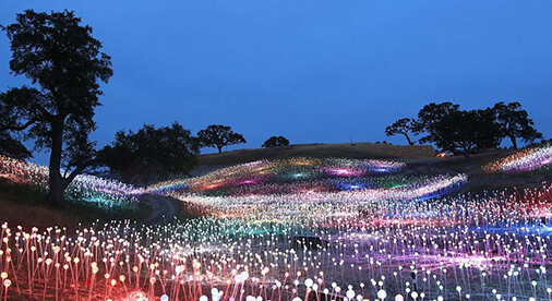 Field of Light at Sensorio