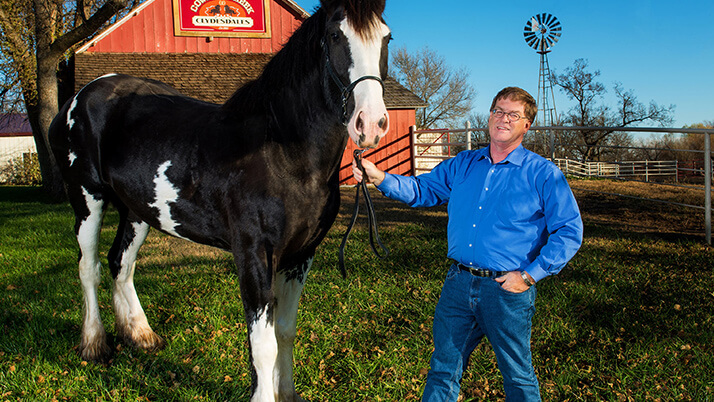 Scott and his Clydesdale