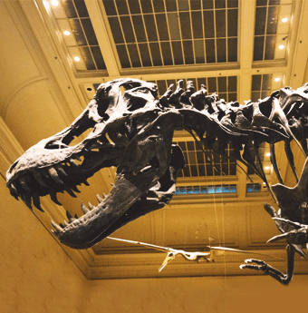 Museums in Washington DC