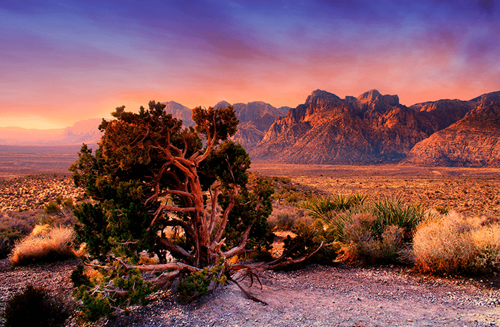 Red Rock Canyon in Las Vegas
