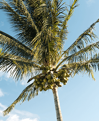 Summer Vacation spots - Nonstop Flights