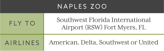 Naples Zoo Trip Flight Times