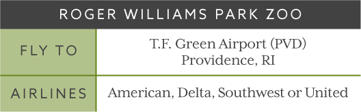 Roger Williams Park Zoo Trip Flight Times