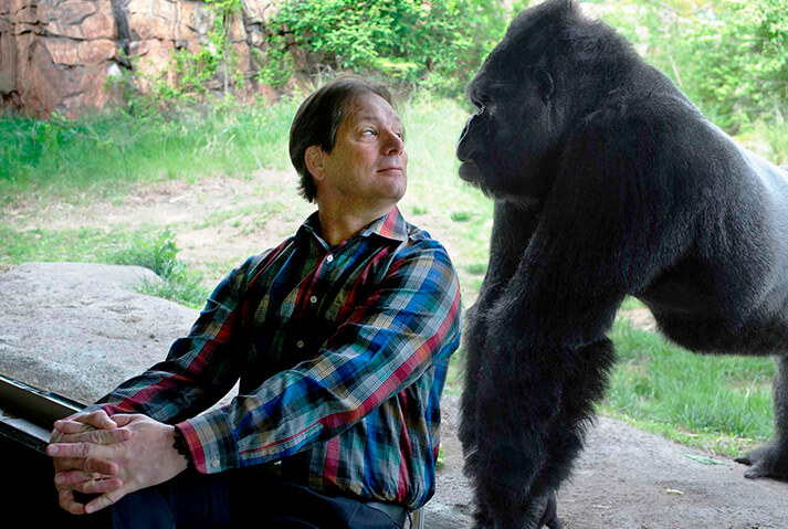 Rhodes at the Sedgwick County Zoo gorilla exhibit