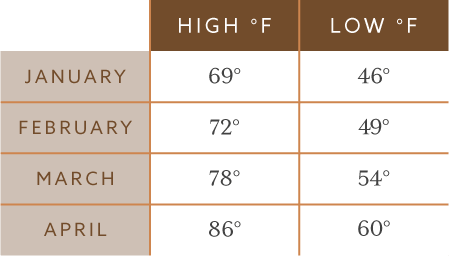 Phoenix Temperature Chart