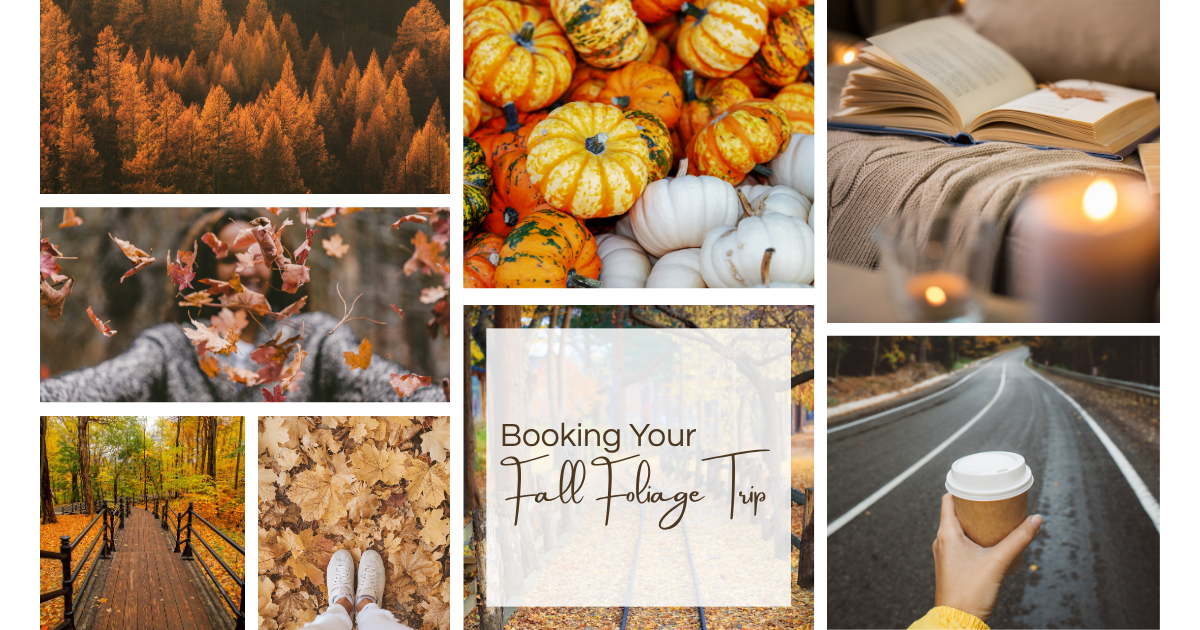 Book Your 2026 Foliage Trip Before Rooms and Peak Dates Vanish